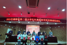 168足球比分
